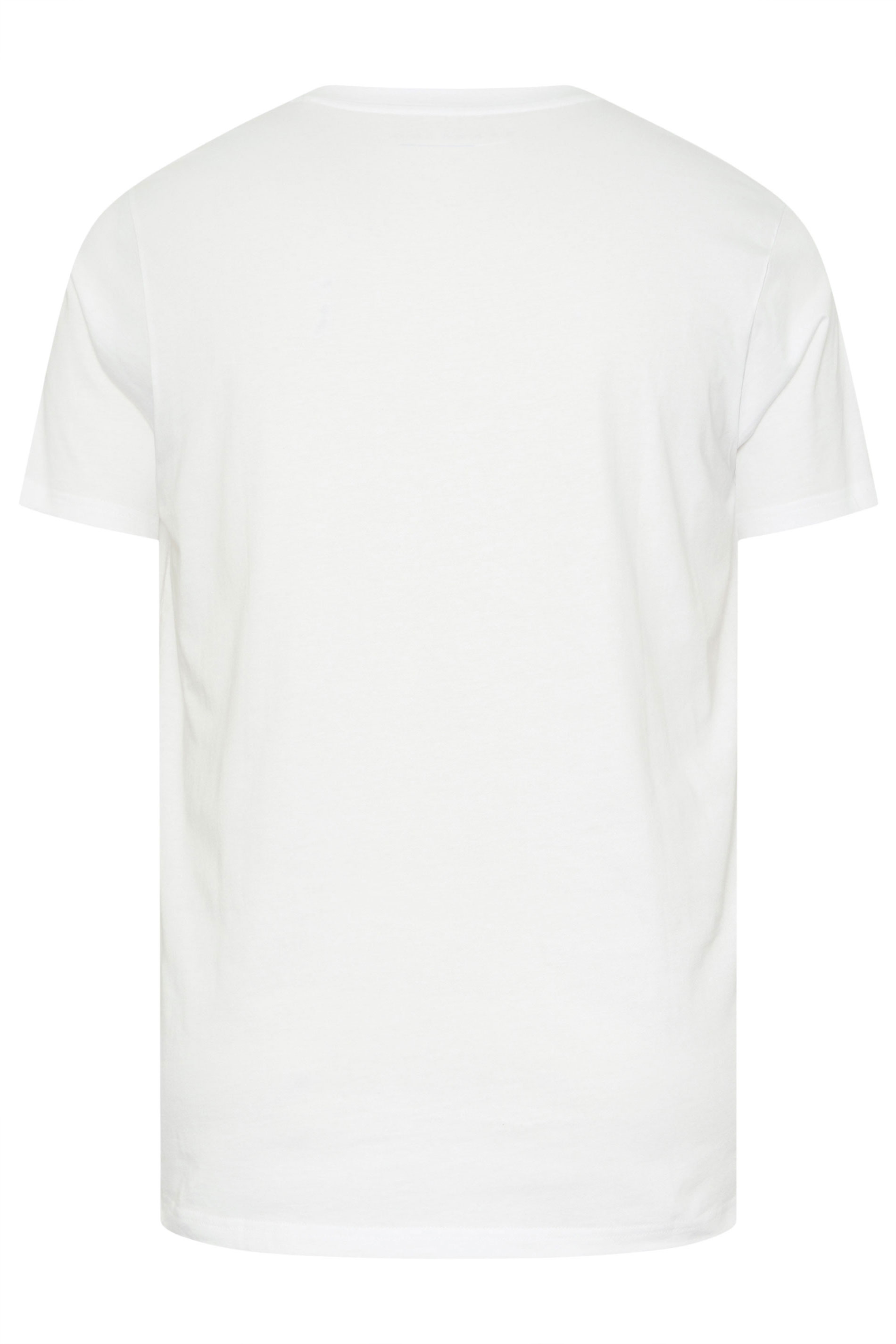 BadRhino Big & Tall White Extra Long V-Neck T-Shirt | BadRhino 2