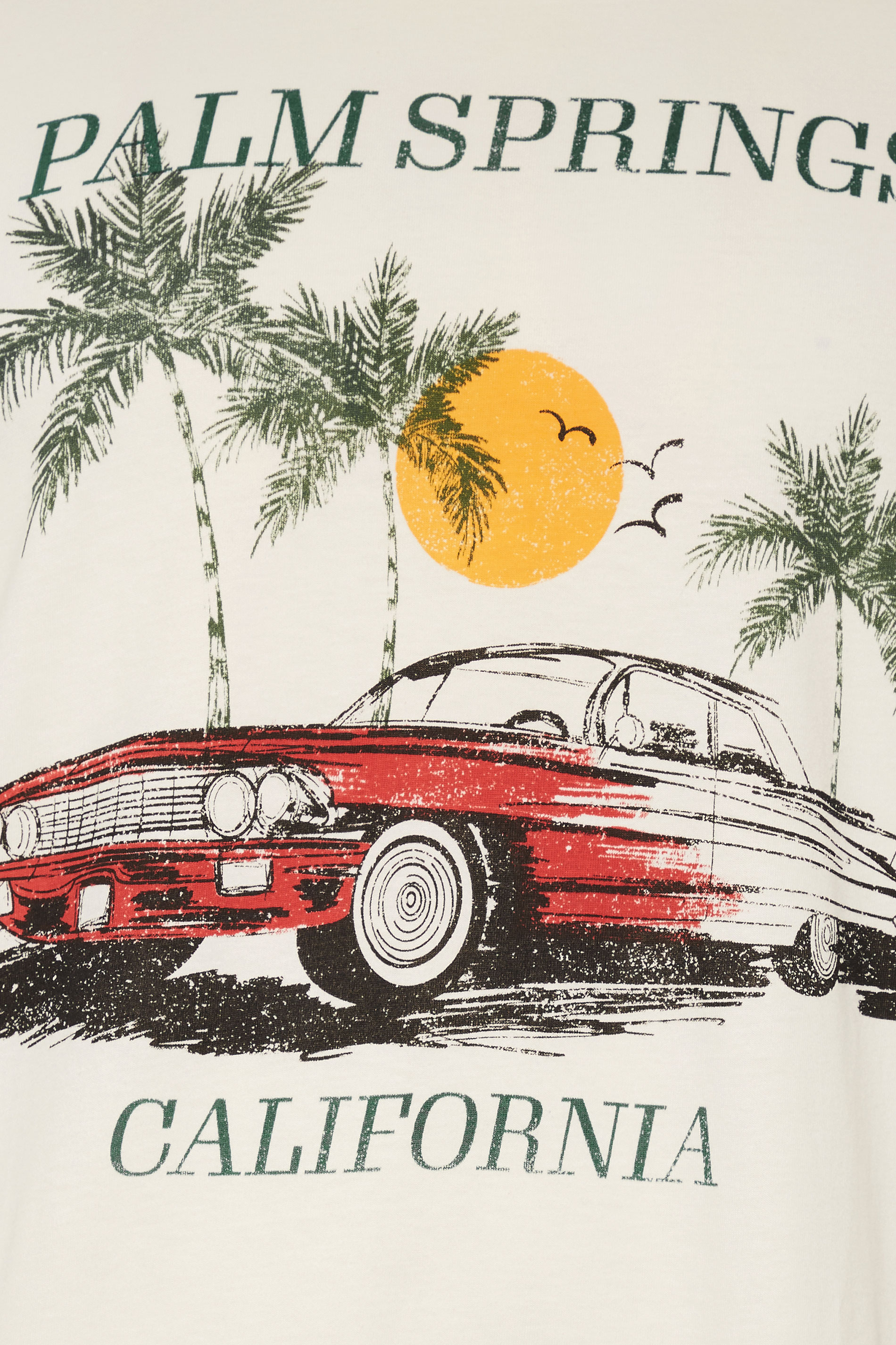 BadRhino Big & Tall White 'Palm Springs' Graphic T-Shirt | BadRhino 4
