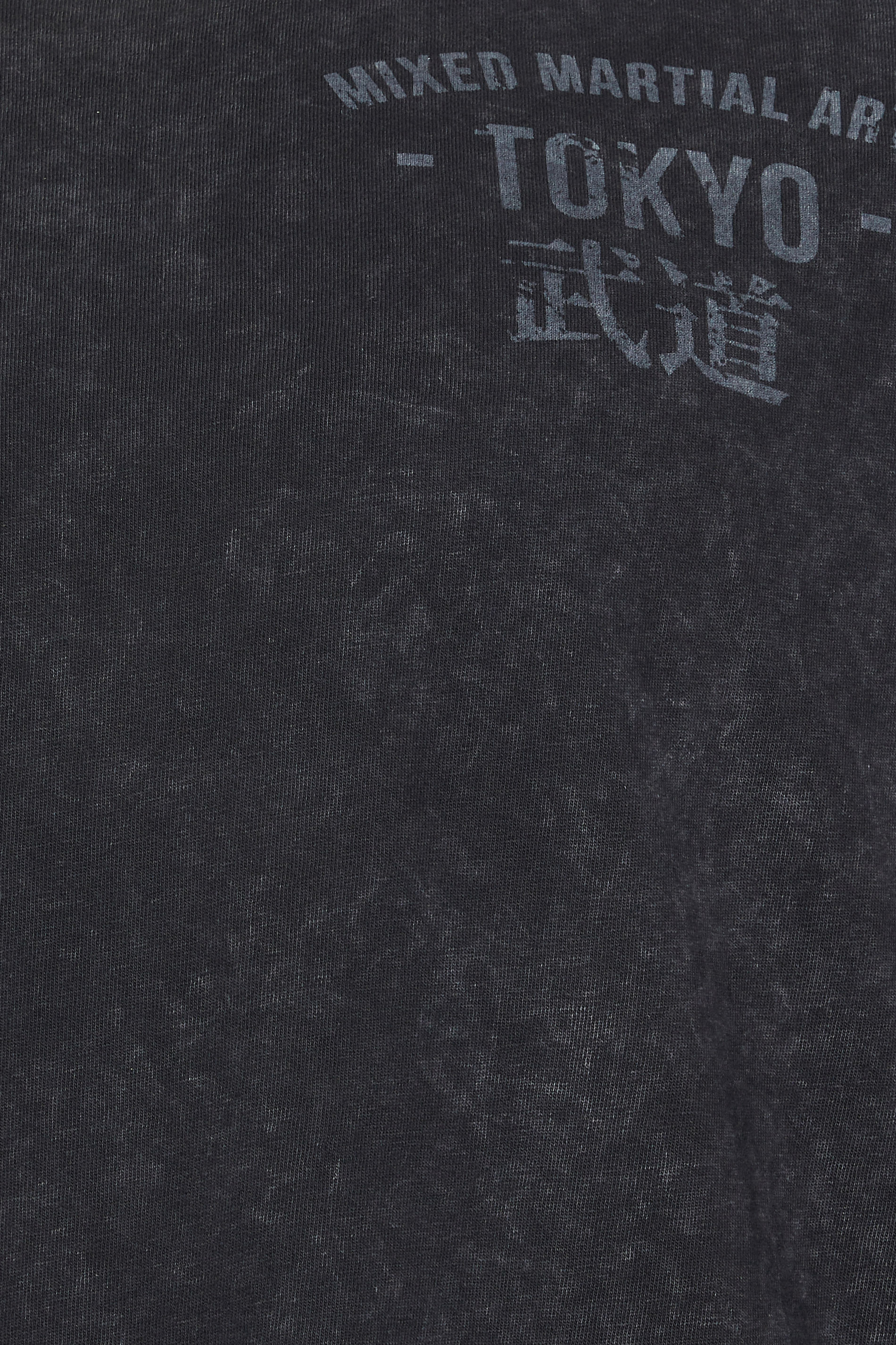 BadRhino Big & Tall Black Acid Wash 'Martial Arts Tokyo' Slogan T-Shirt | BadRhino 9