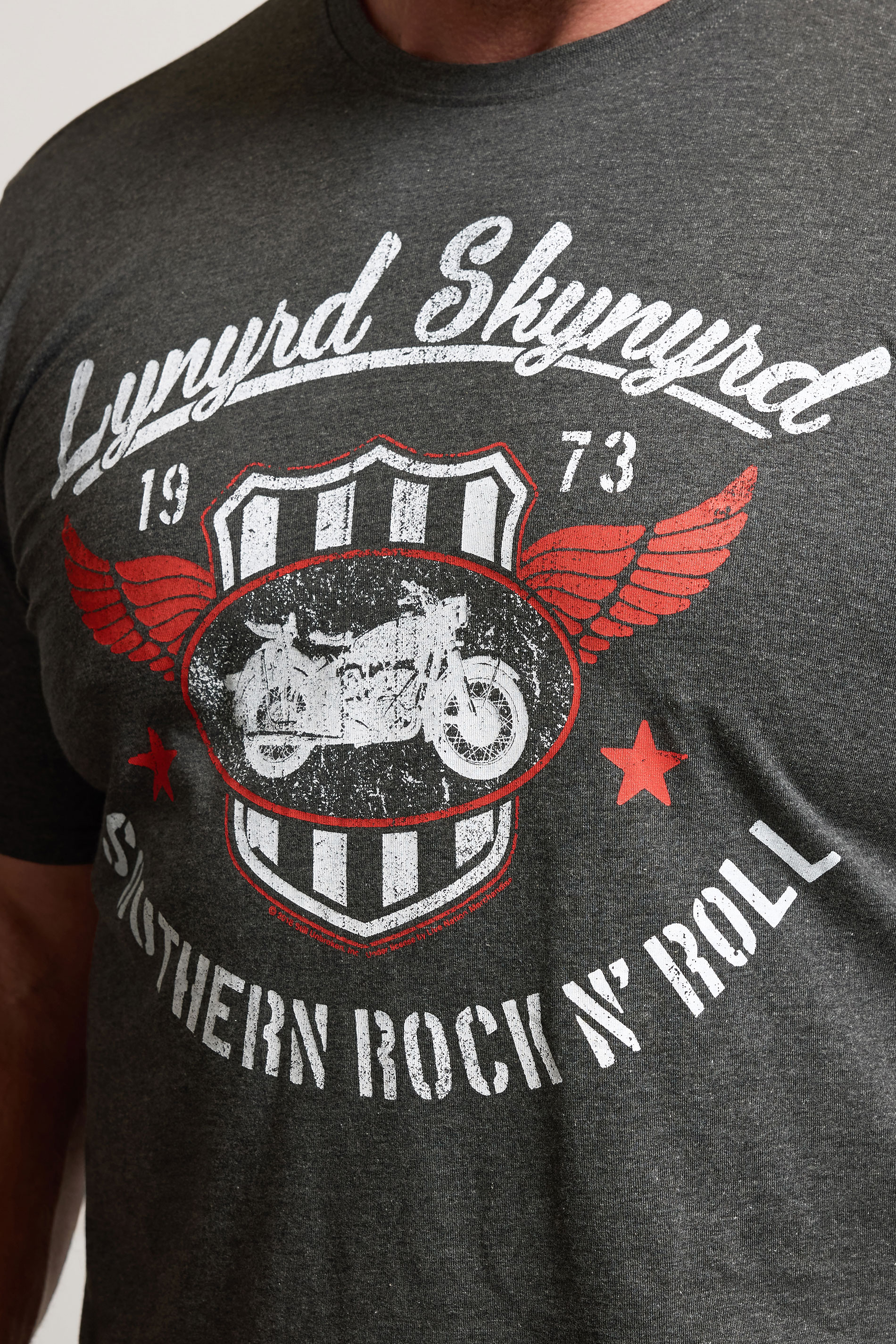 BadRhino Big & Tall Charcoal Grey 'Lynyrd Skynyrd' Graphic T-Shirt | BadRhino 4