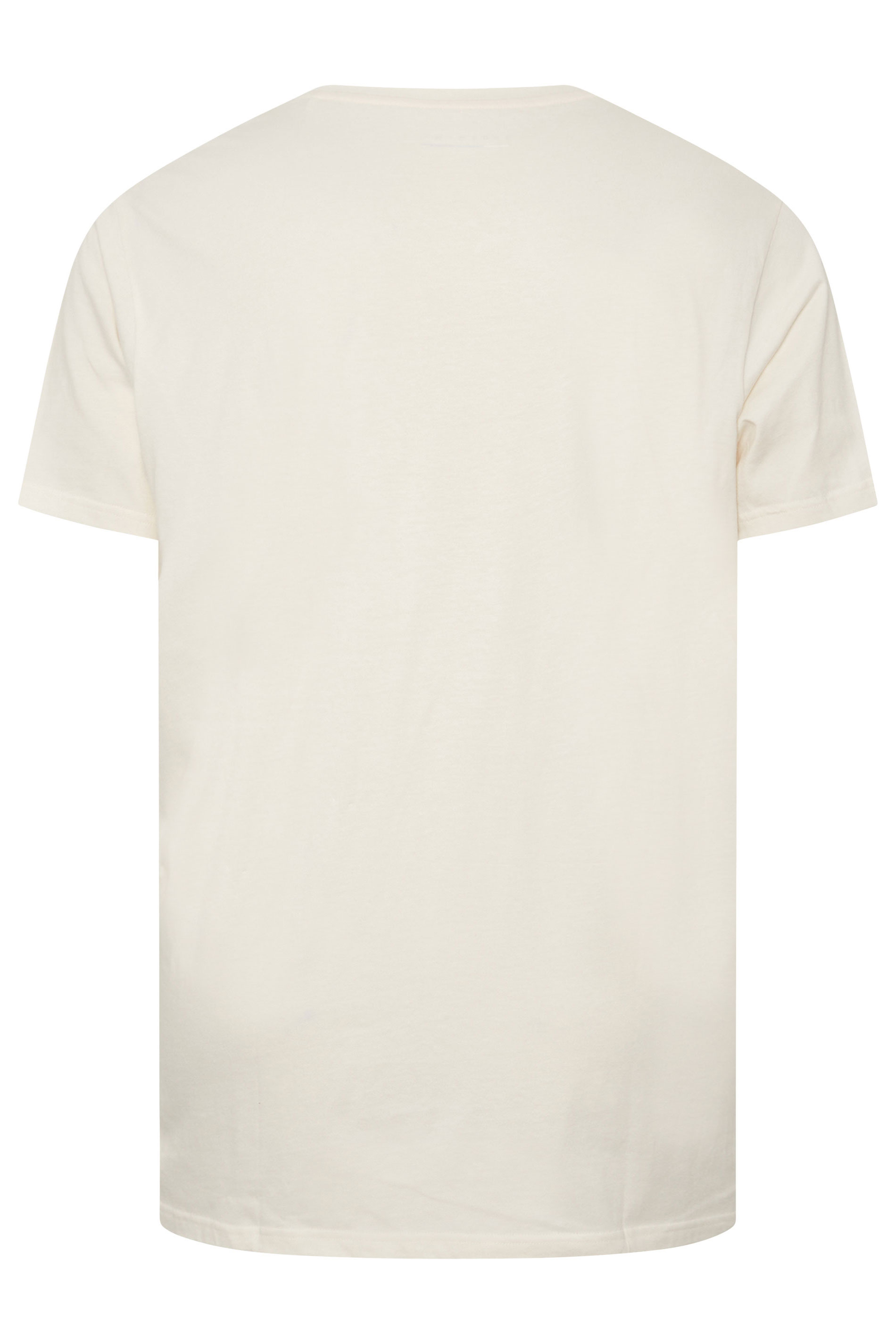 BadRhino Big & Tall White 'Palm Springs' Graphic T-Shirt | BadRhino 6