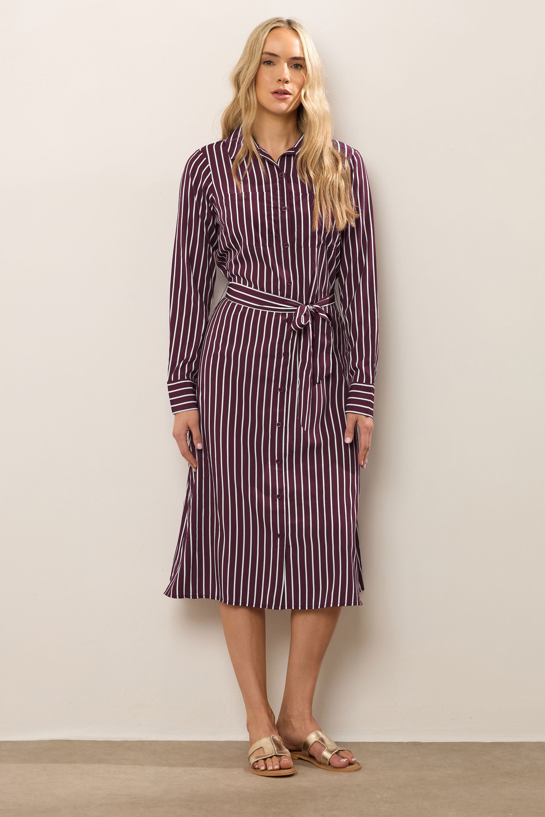 Dublin 【 Autumn Sally Ls Riding Top Women 】 ファッション レディースファッション トップス Tシャツ カットソー レディ LTS Tall Black & Brown Stripe Long Sleeve Cotton T-Shirt