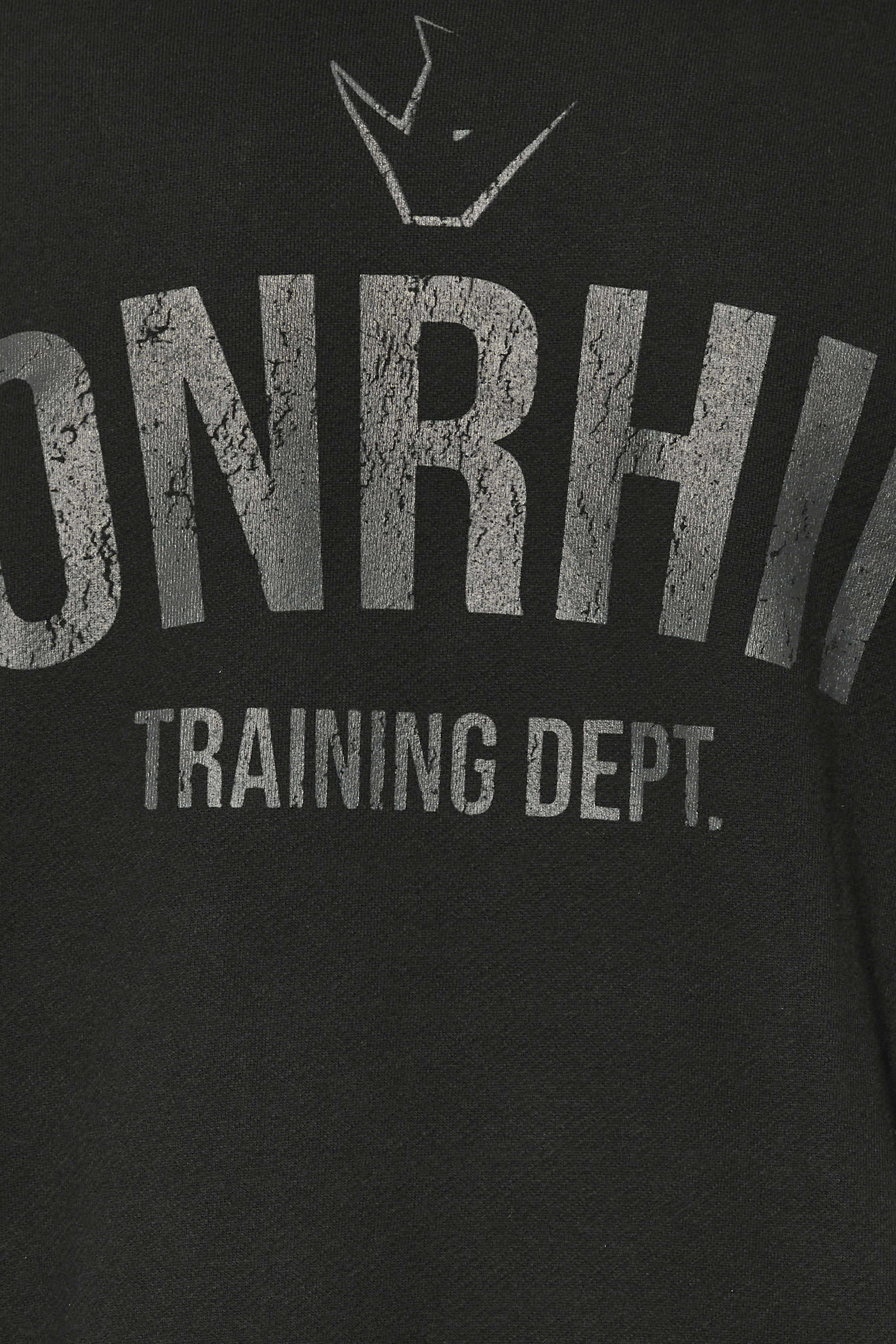 IronRhino Big & Tall Black 'Training Dept' Hoodie | BadRhino 6