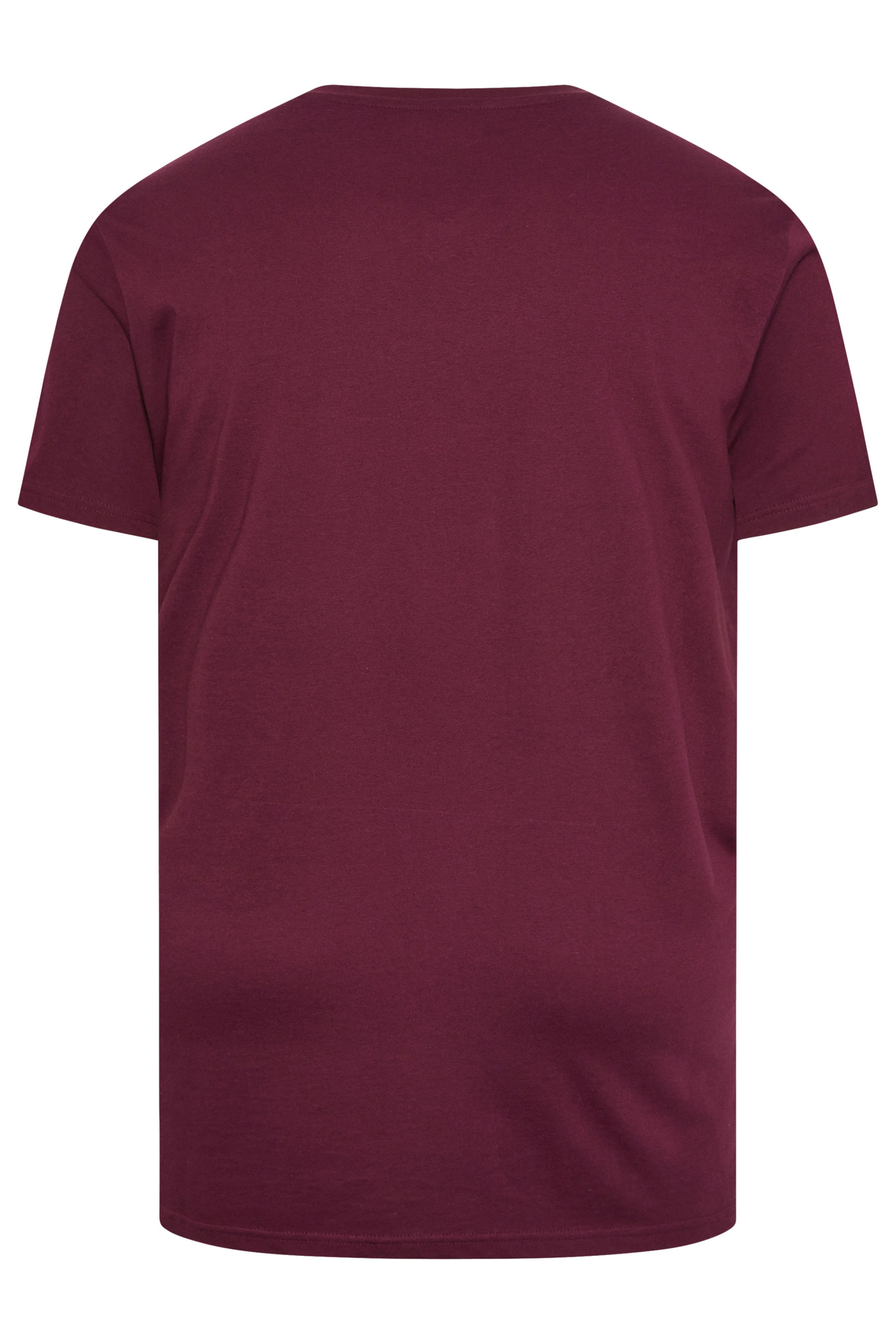 BadRhino Big & Tall Black/Red/Green/Blue/Navy Blue 5 Pack V-Neck T-Shirts | BadRhino 3