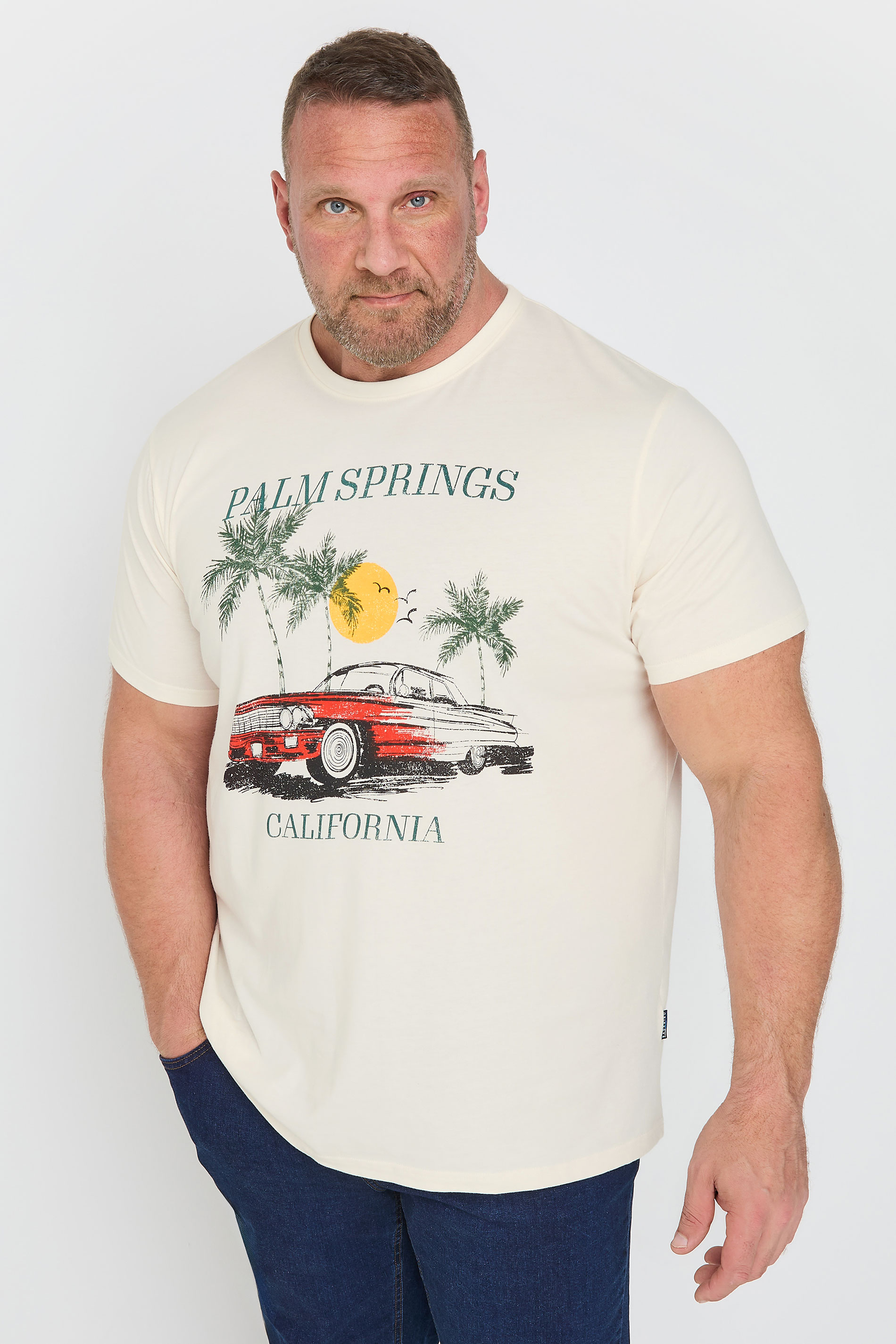 BadRhino Big & Tall White 'Palm Springs' Graphic T-Shirt | BadRhino 1