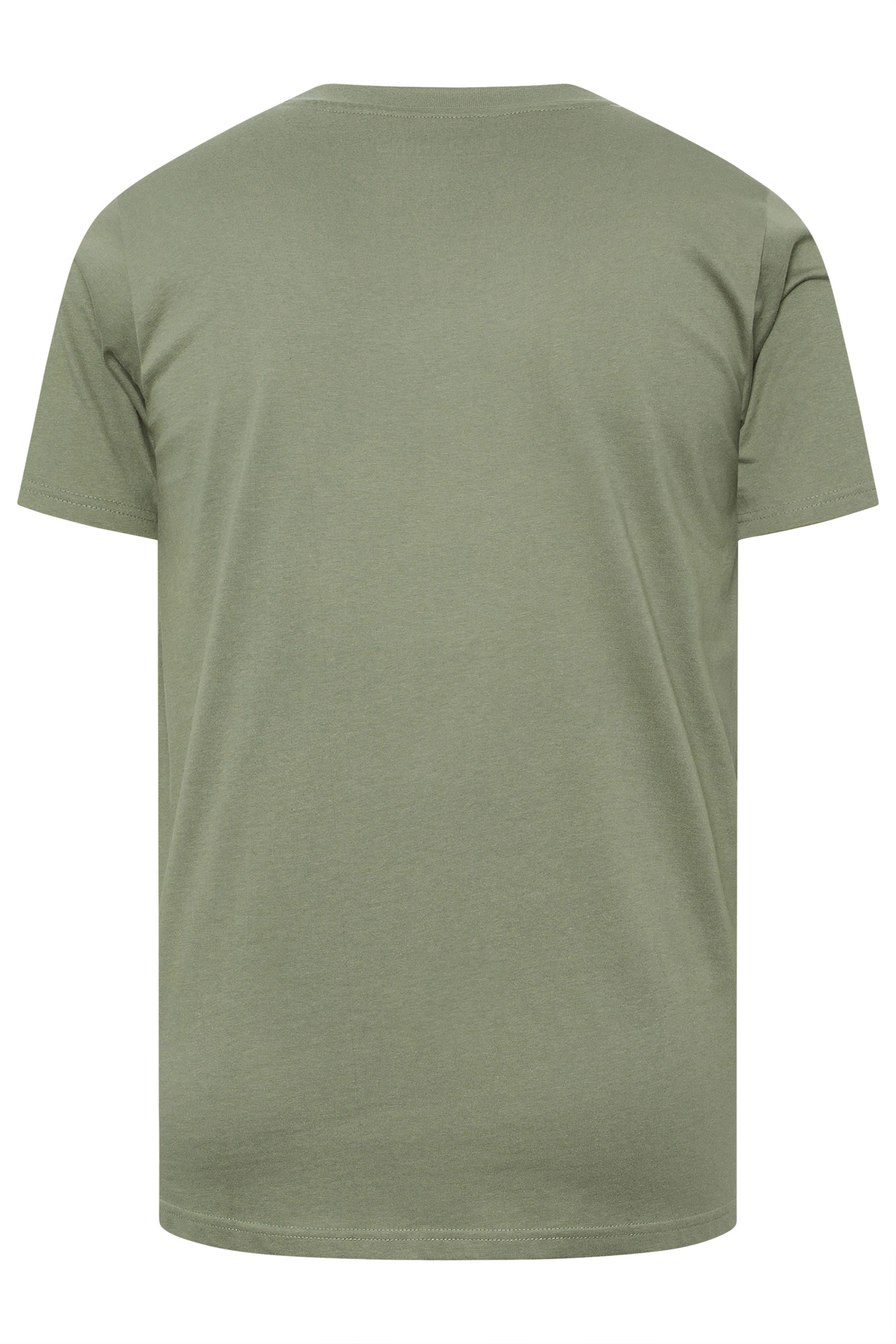 BadRhino Big & Tall Sage Green Core T-Shirt | BadRhino 2