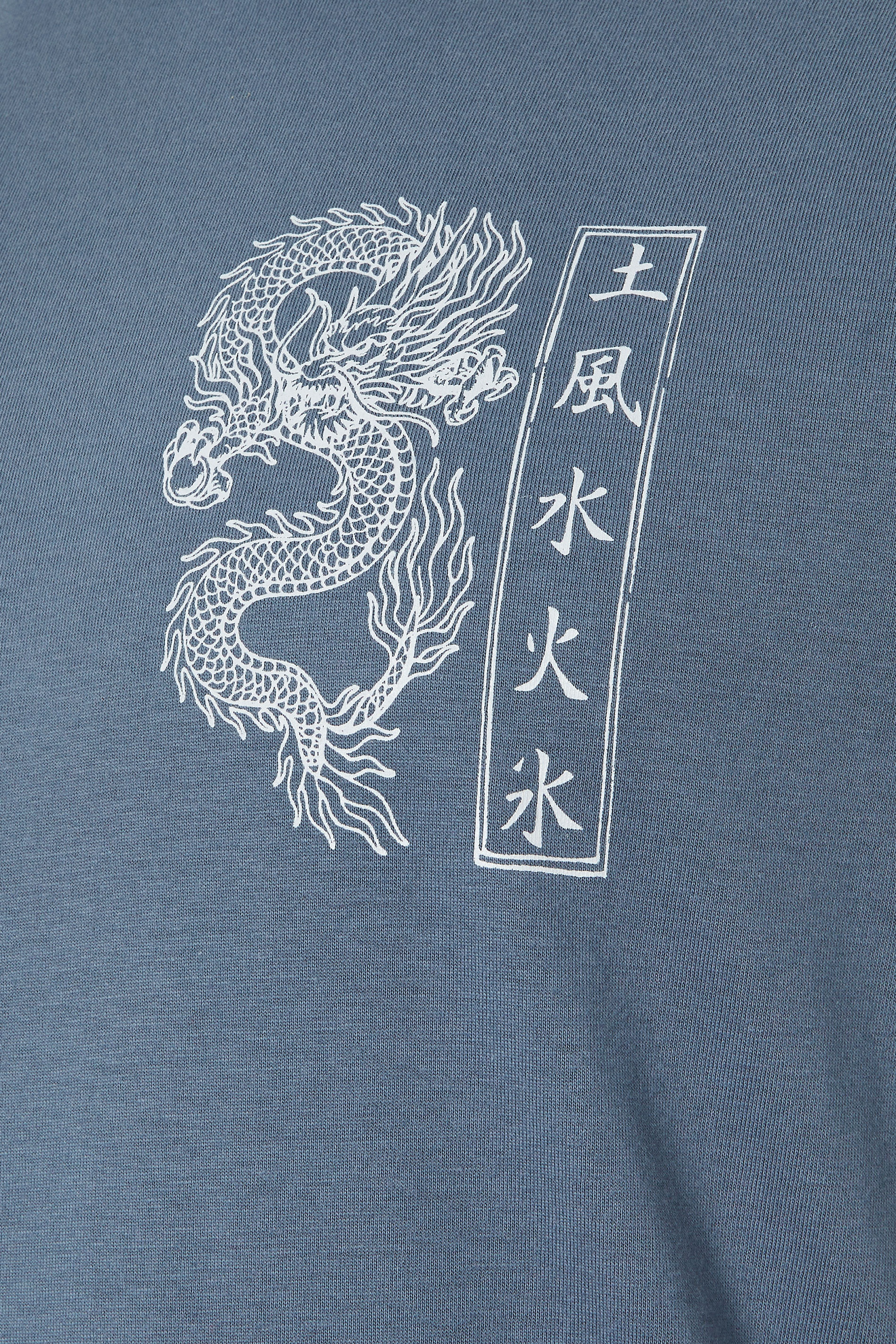 BadRhino Big & Tall Blue Extra Long Dragon Graphic T-Shirt | BadRhino 8