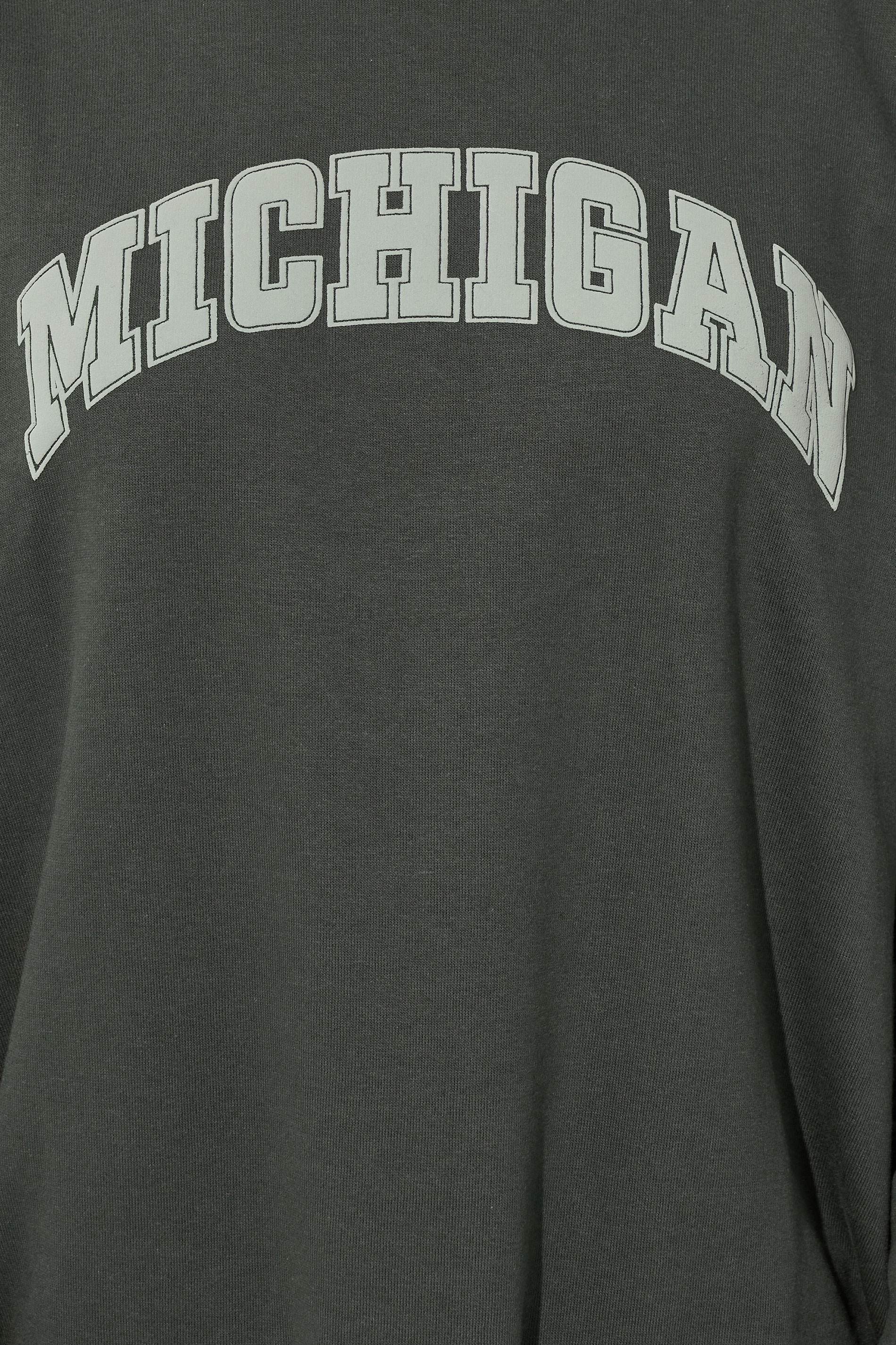 LTS Tall Charcoal Grey 'Michigan' Slogan Sweatshirt | Long Tall Sally 4