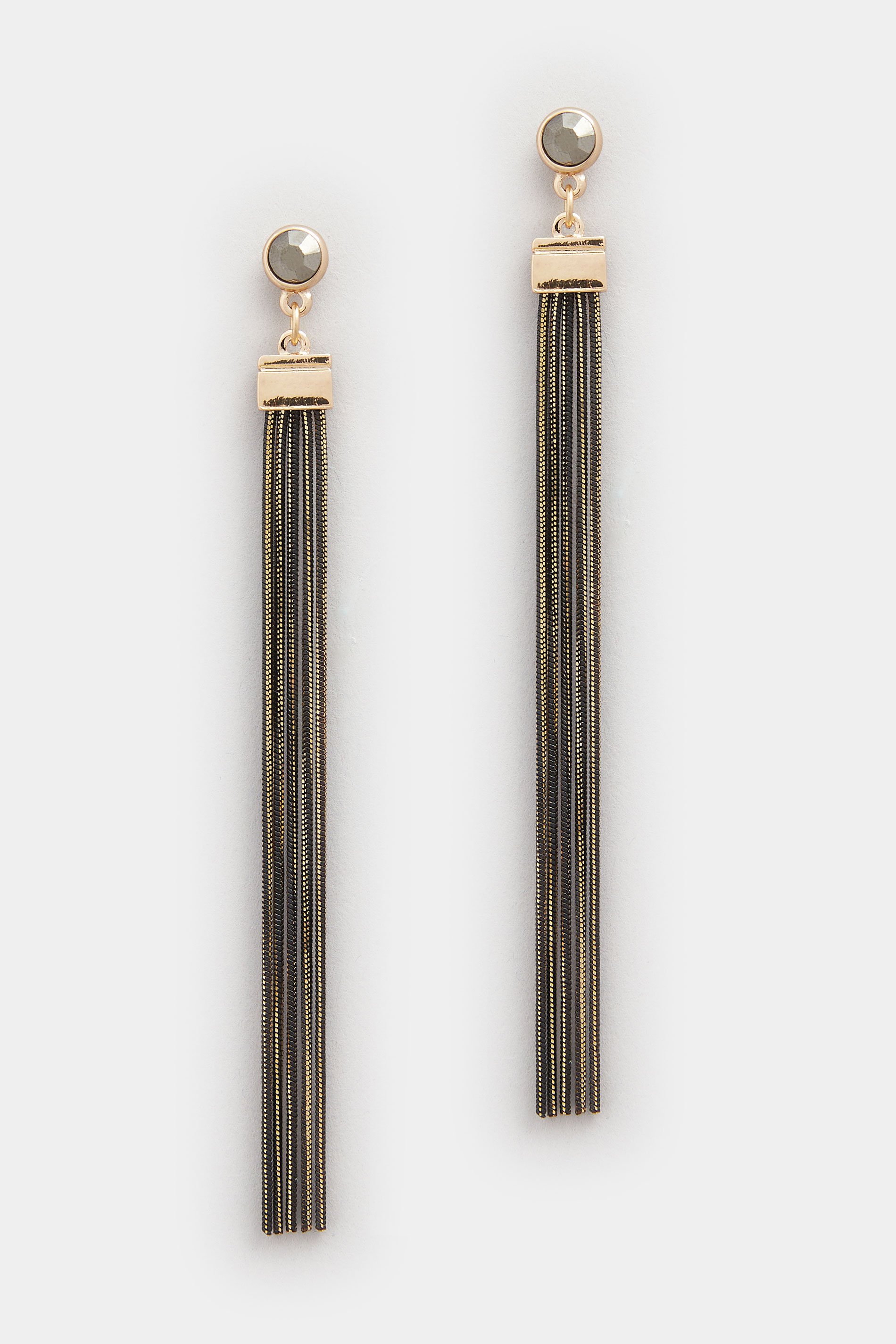 Black Long Stone Tassel Earrings | Yours Clothing 2