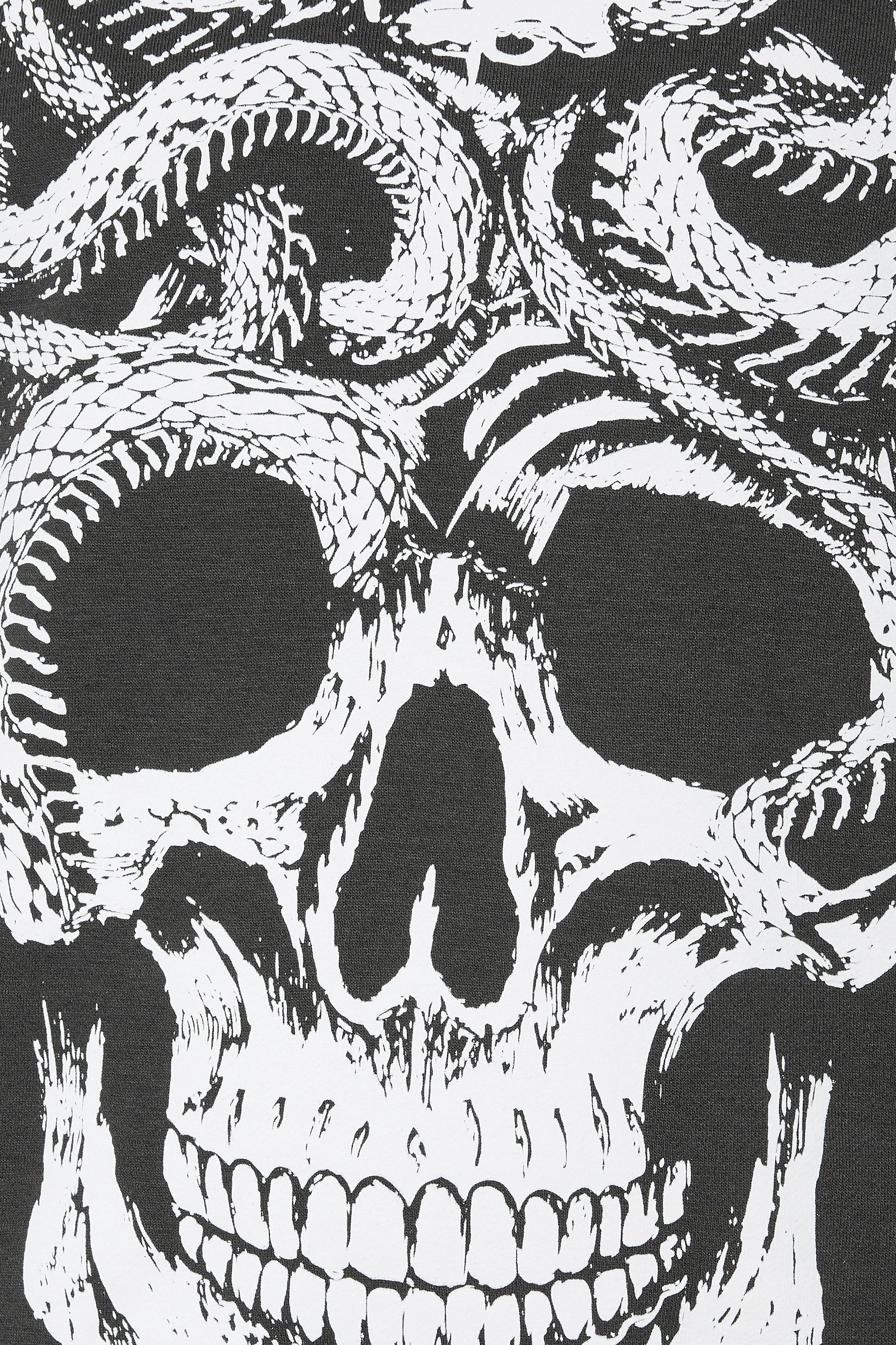 BadRhino Big & Tall Ebony Grey Skull & Snake Graphic Sweatshirt | BadRhino 3