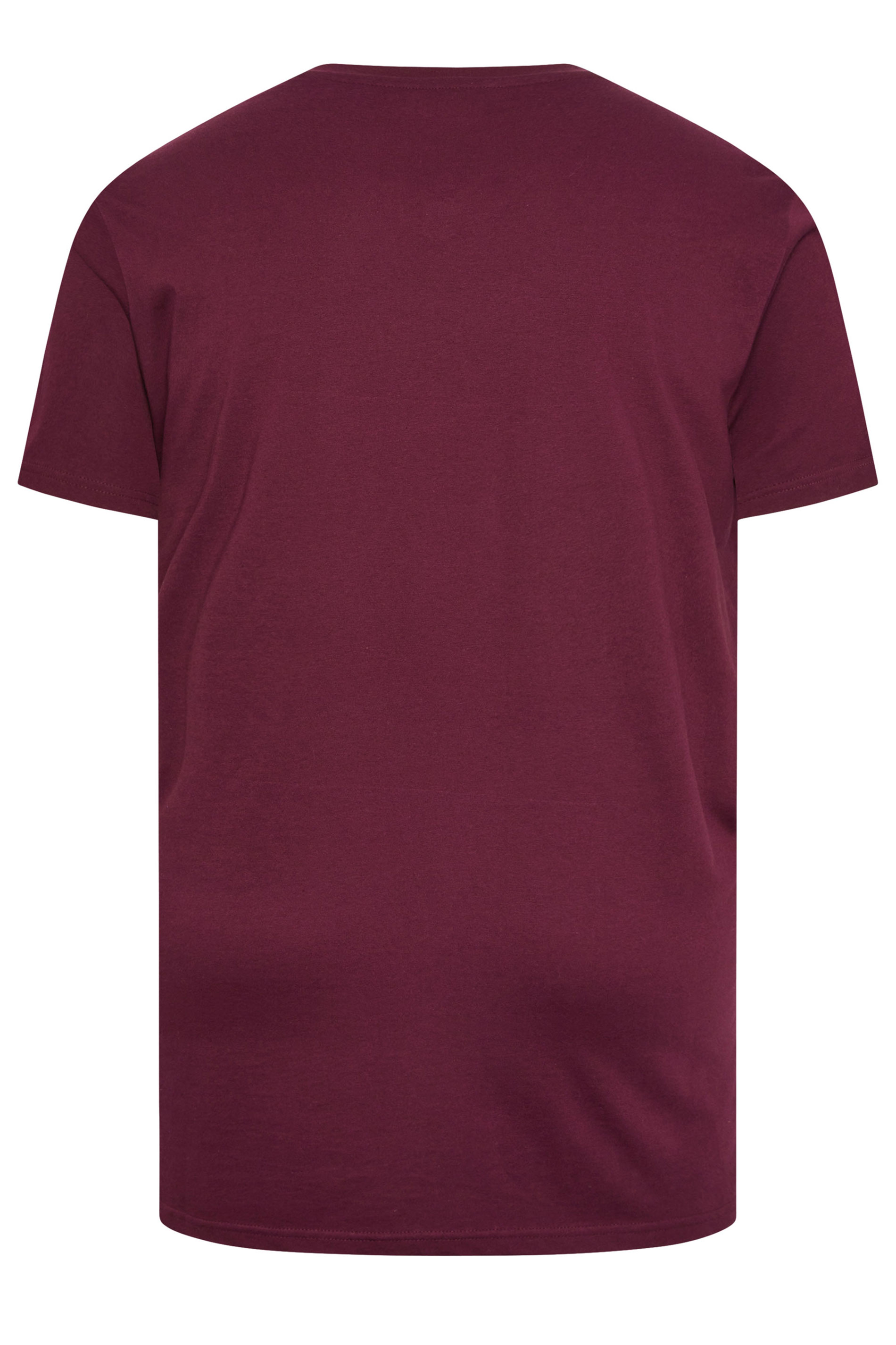 BadRhino Big & Tall Black/Red/Green/Blue/Navy Blue 5 Pack Extra Long V-Neck T-Shirts | BadRhino 3