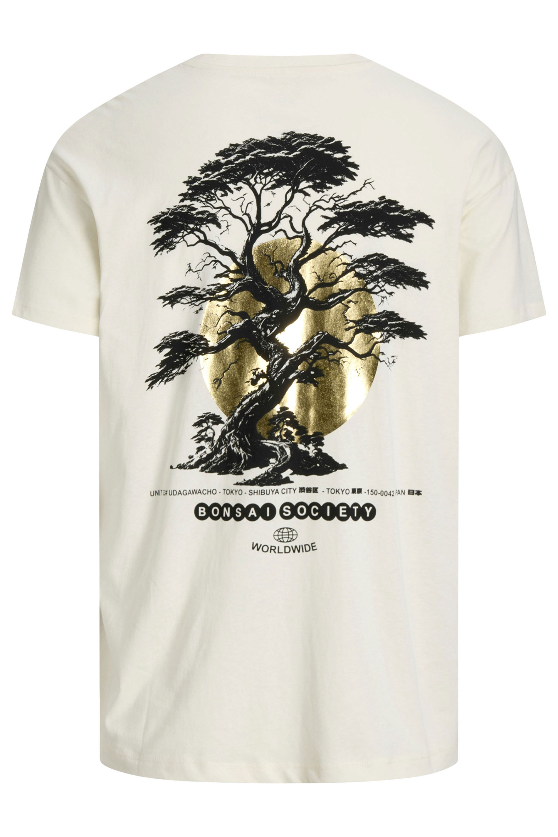 JACK & JONES Big & Tall Natural Brown Back Print T-Shirt | BadRhino 5