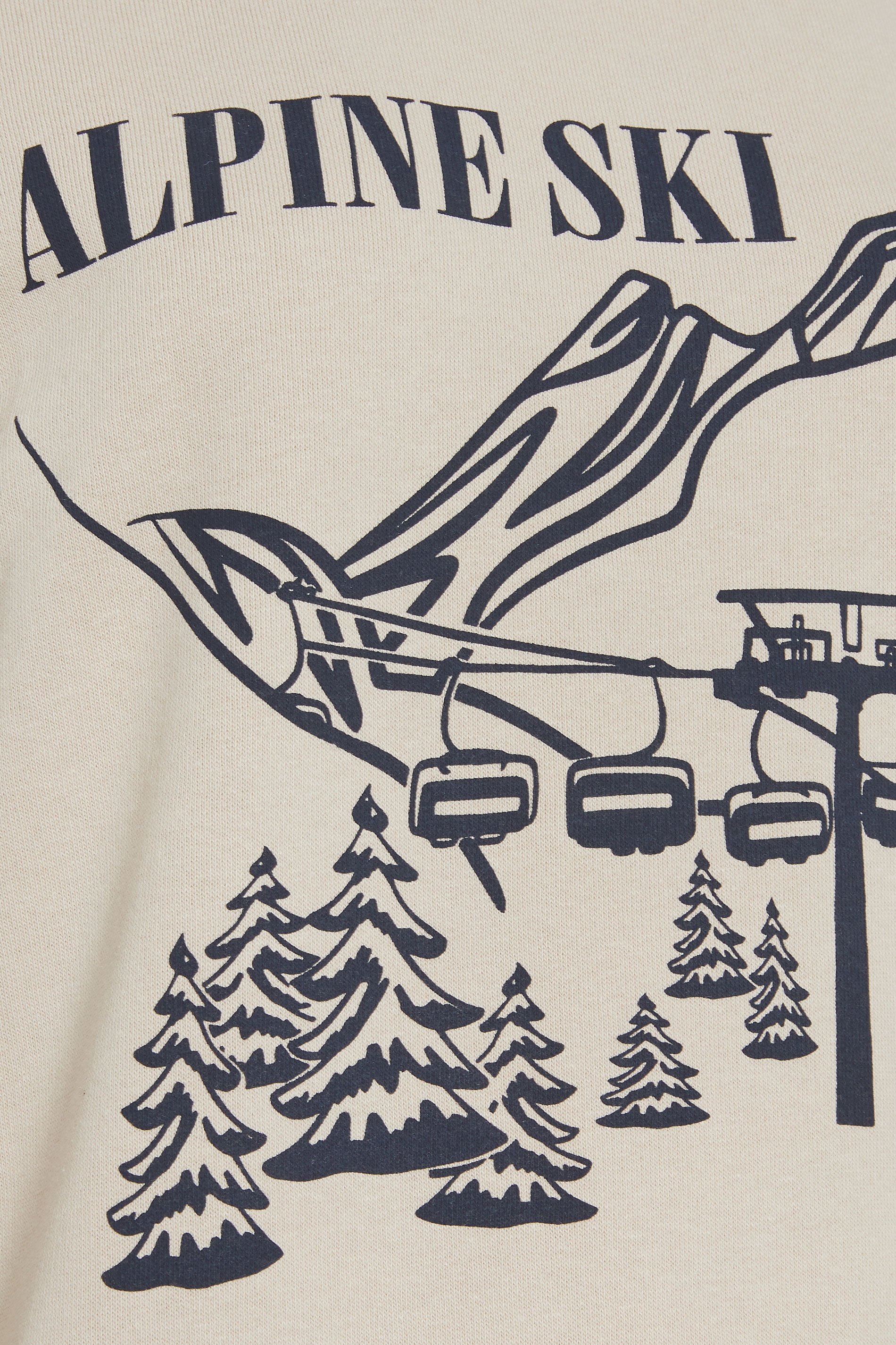 LTS Tall Stone Brown 'Alpine Ski' Slogan Sweatshirt | Long Tall Sally 6
