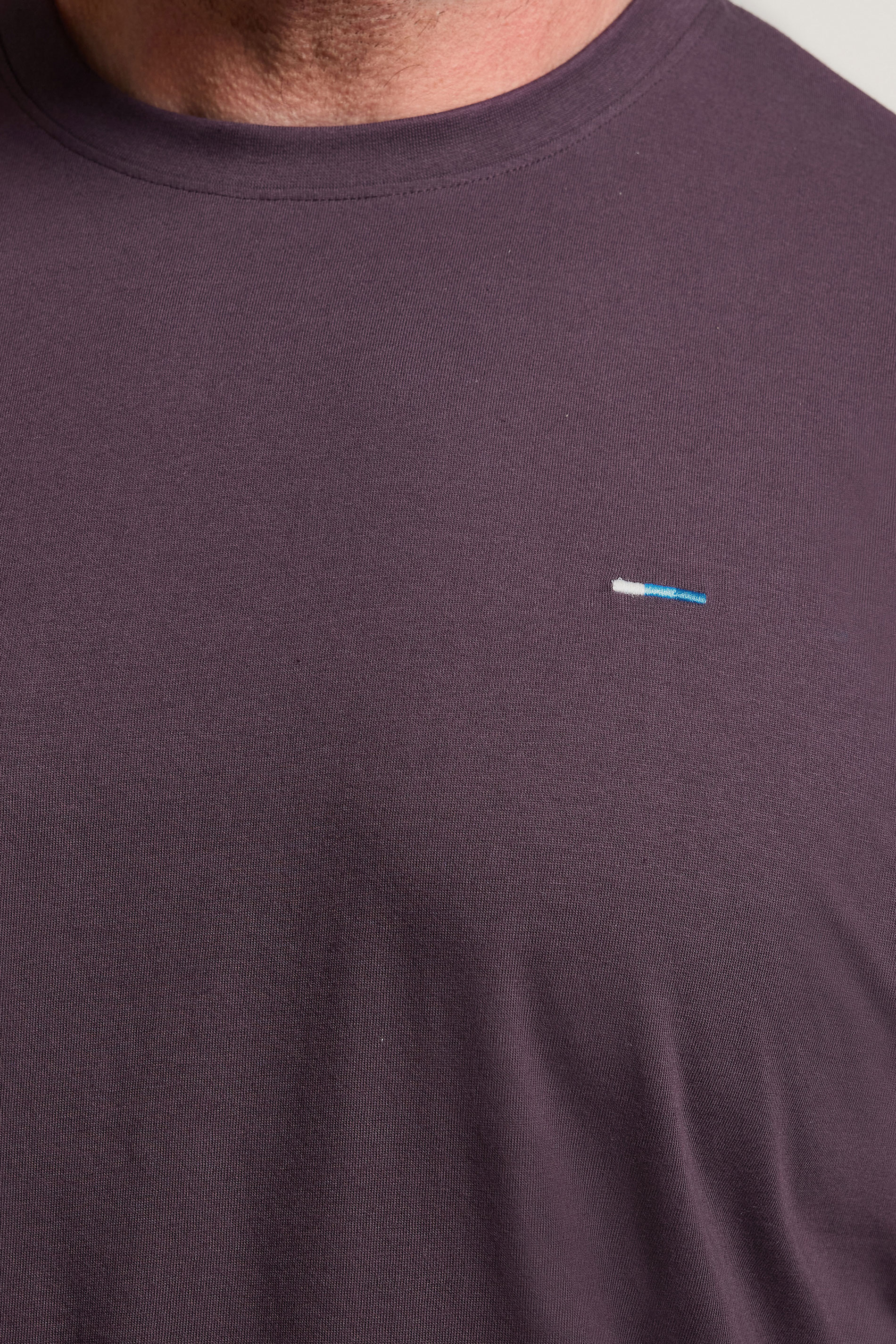 BadRhino Big & Tall Plum Purple Core T-Shirt | BadRhino 4