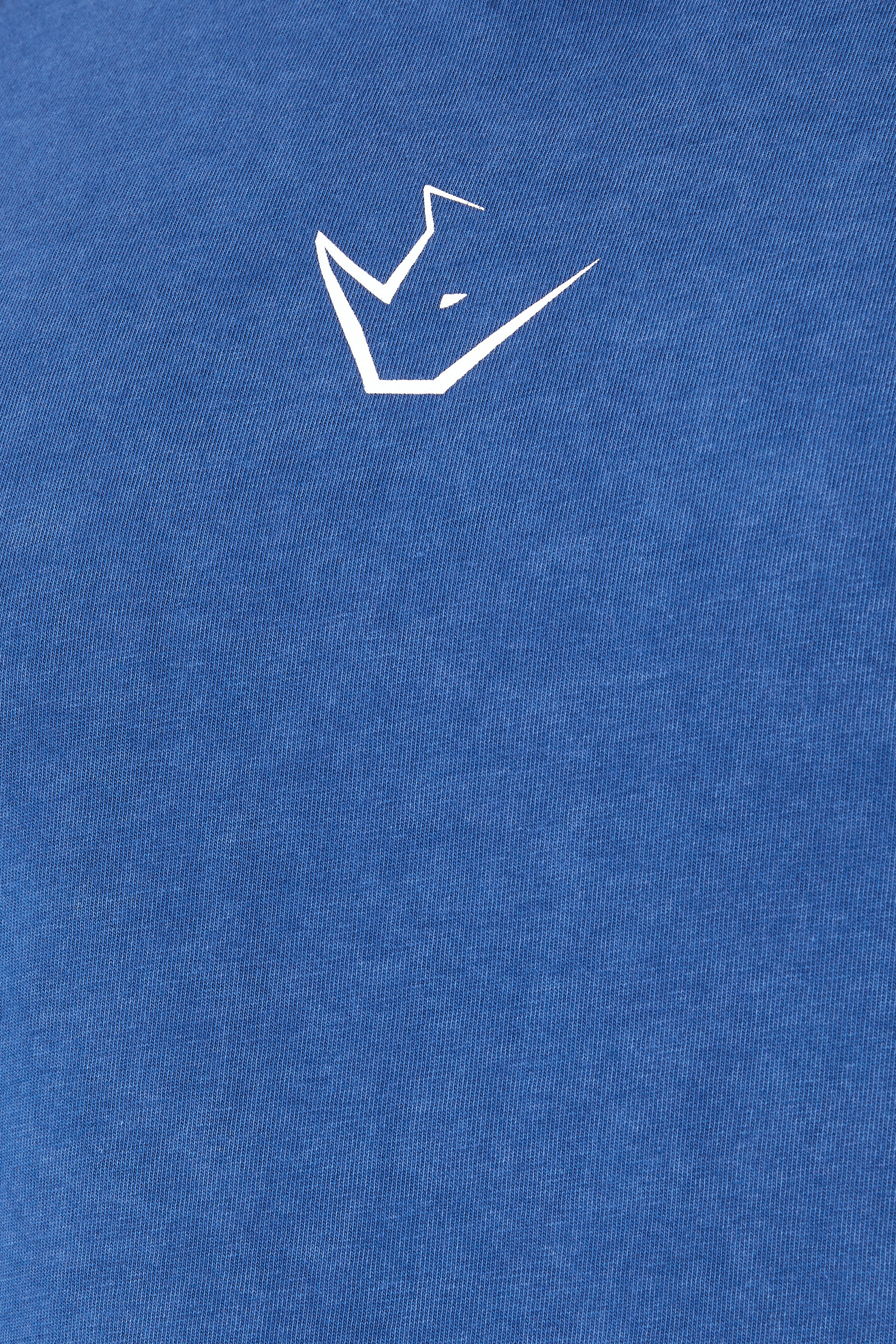 IronRhino Big & Tall Blue Acid Wash 'Barbell Club' T-Shirt | BadRhino 6