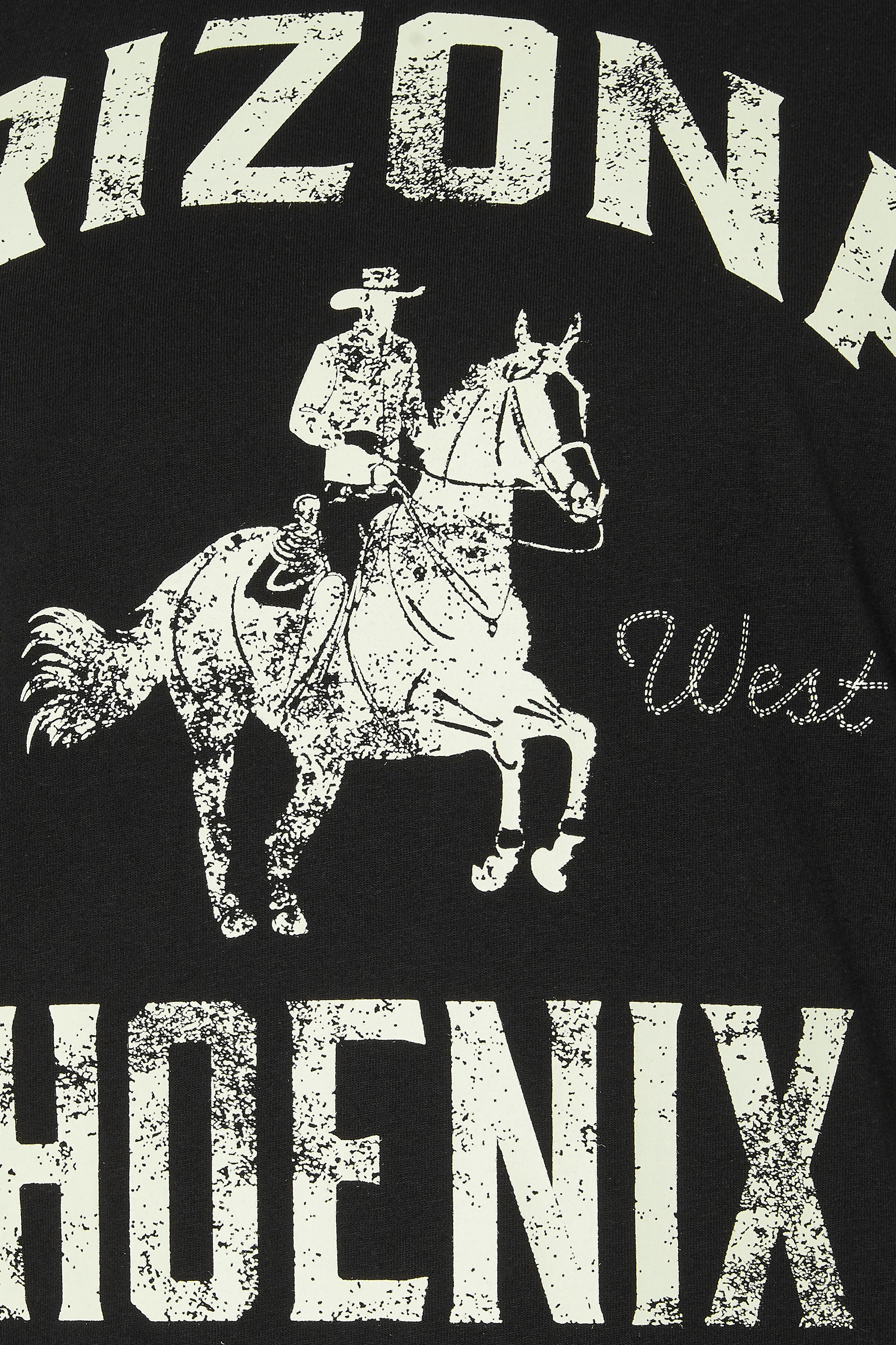 BadRhino Big & Tall Black 'Arizona Phoenix' Graphic T-Shirt | BadRhino 5