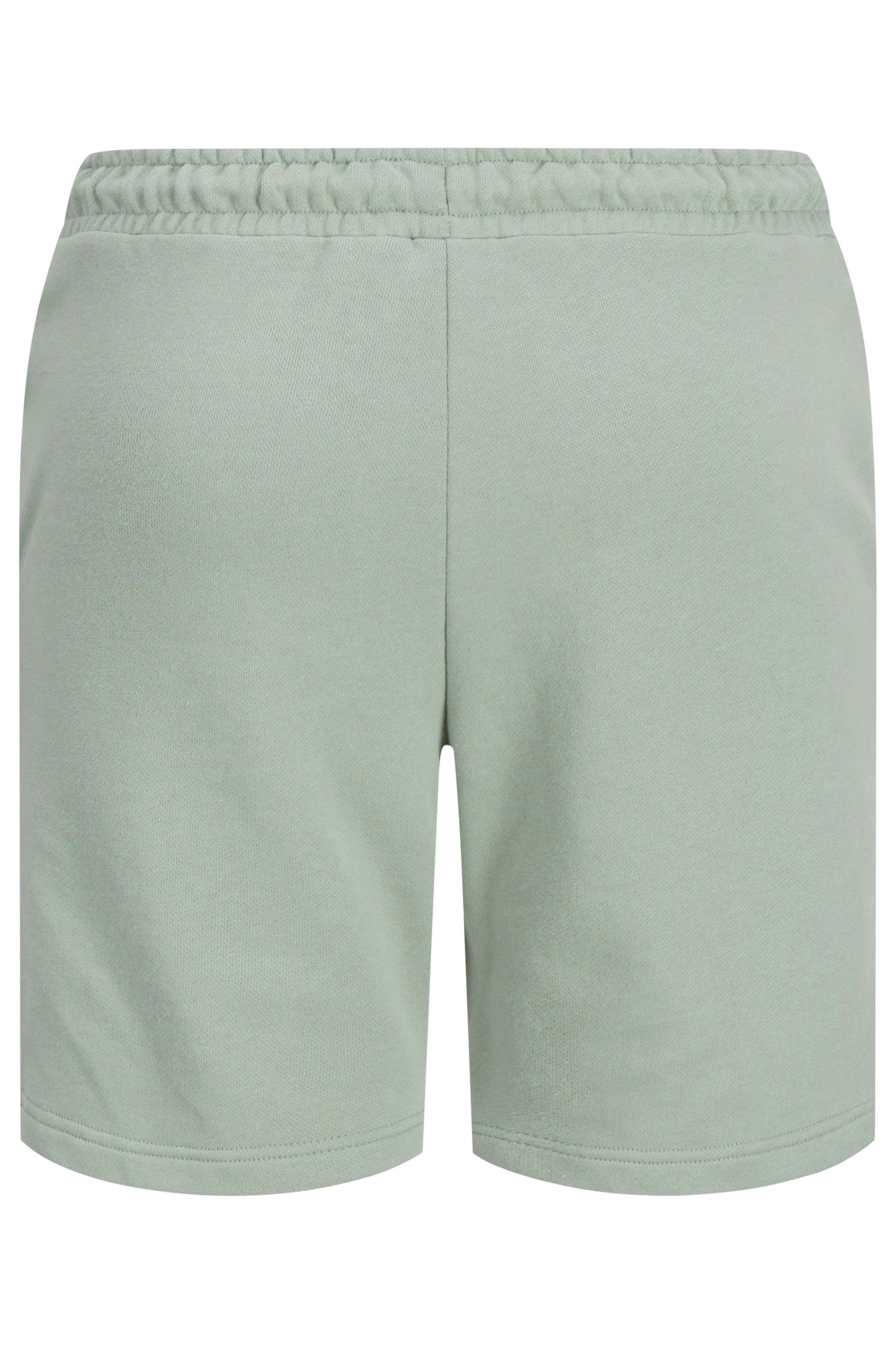 JACK & JONES Big & Tall Iceberg Green 'Beau' Jogger Shorts | BadRhino 4