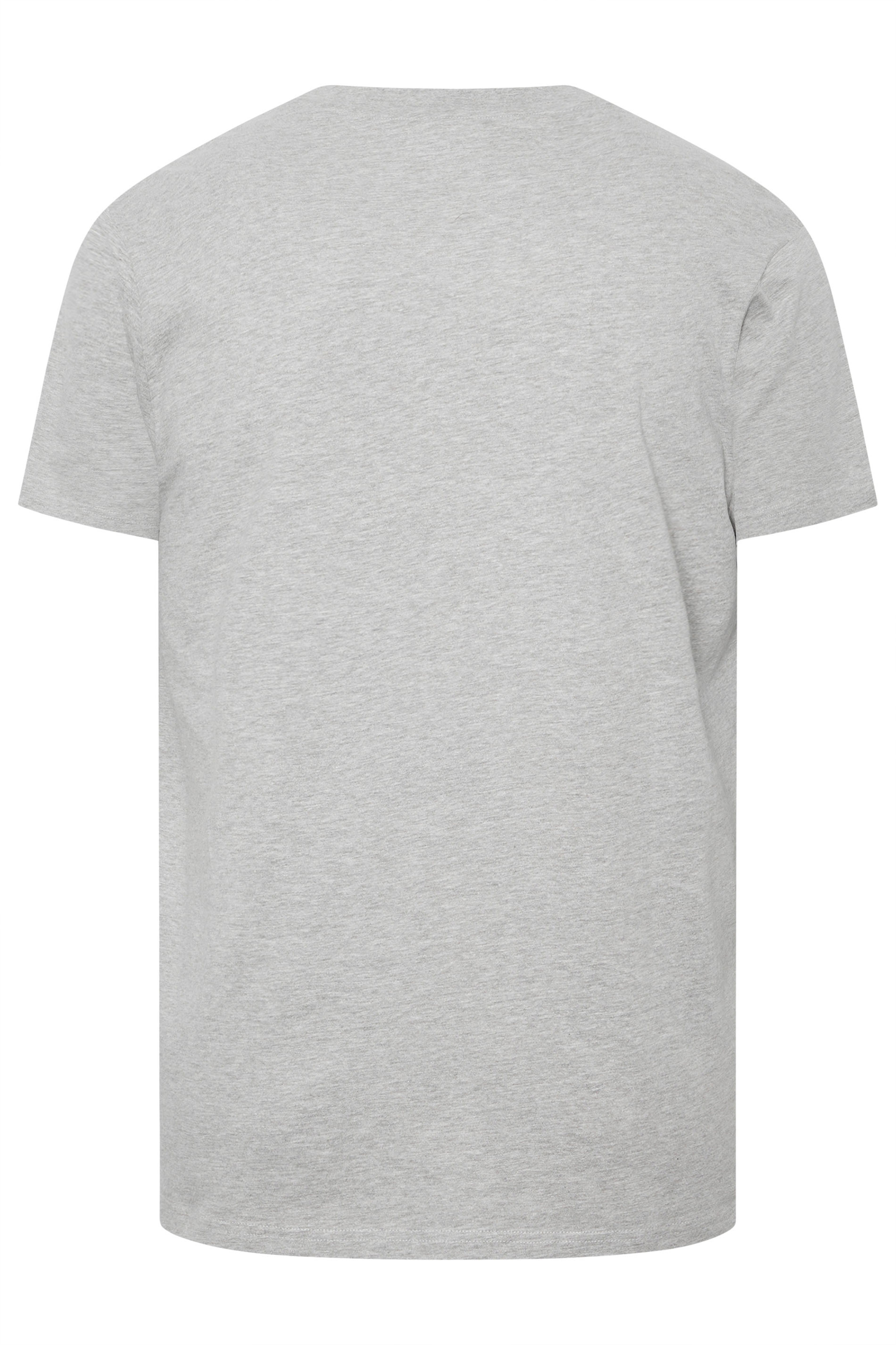 BadRhino Big & Tall Grey Distressed Graphic T-Shirt | BadRhino 7
