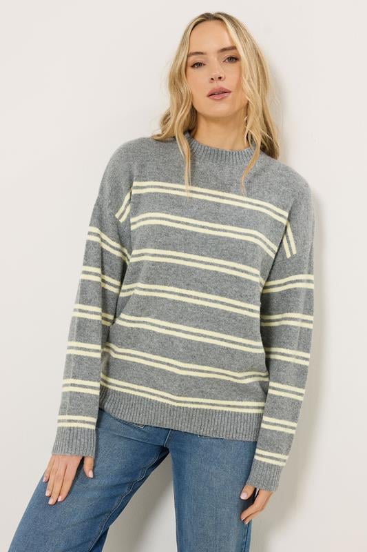 Tall  LTS Tall Grey & Yellow Stripe Jumper