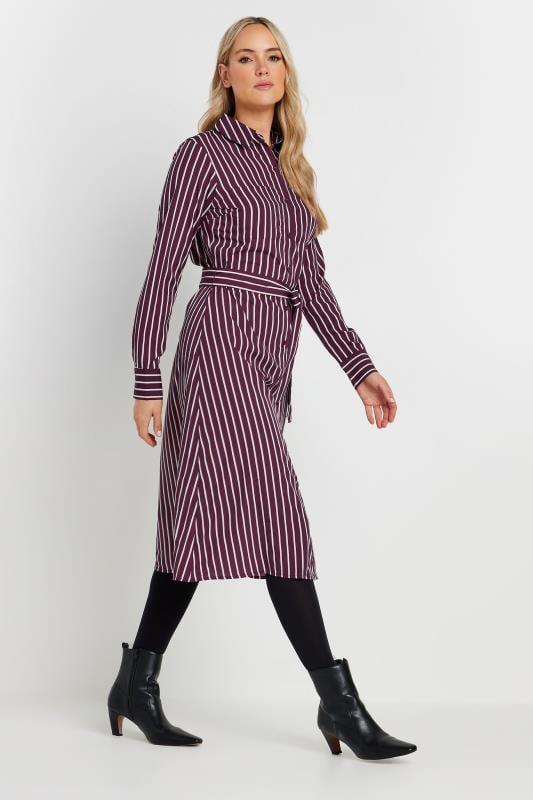 Tall  LTS Tall Burgundy Red Striped Long Sleeve Shirt Dress