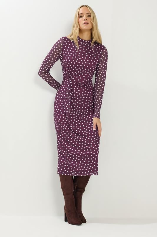 Tall  LTS Tall Berry Red Spot Mesh Long Sleeve Maxi Dress