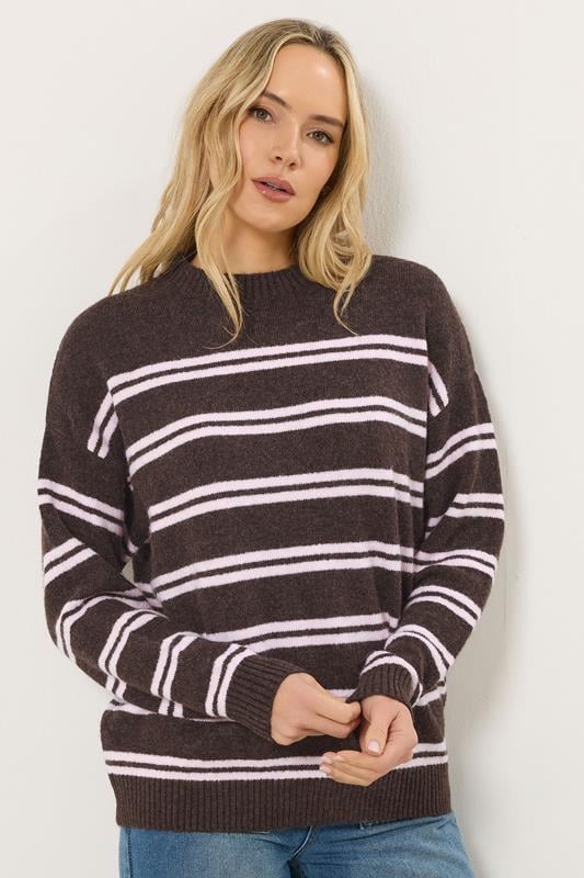 Tall  LTS Tall Chocolate Brown & Pink Stripe Jumper