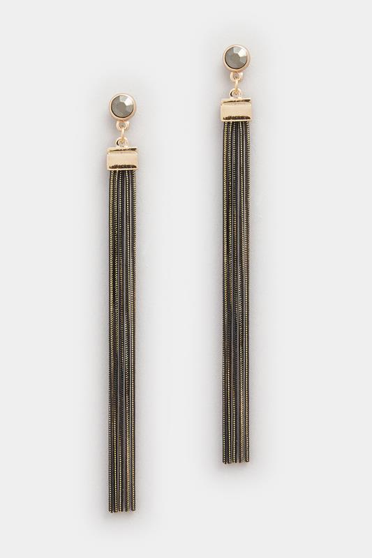 Black Long Stone Tassel Earrings | Yours Clothing 2