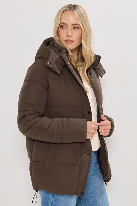 Tall  LTS Tall Chocolate Brown Padded Coat