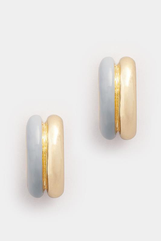 Gold Tone Double Hoop Earrings | Yours Clothing 2