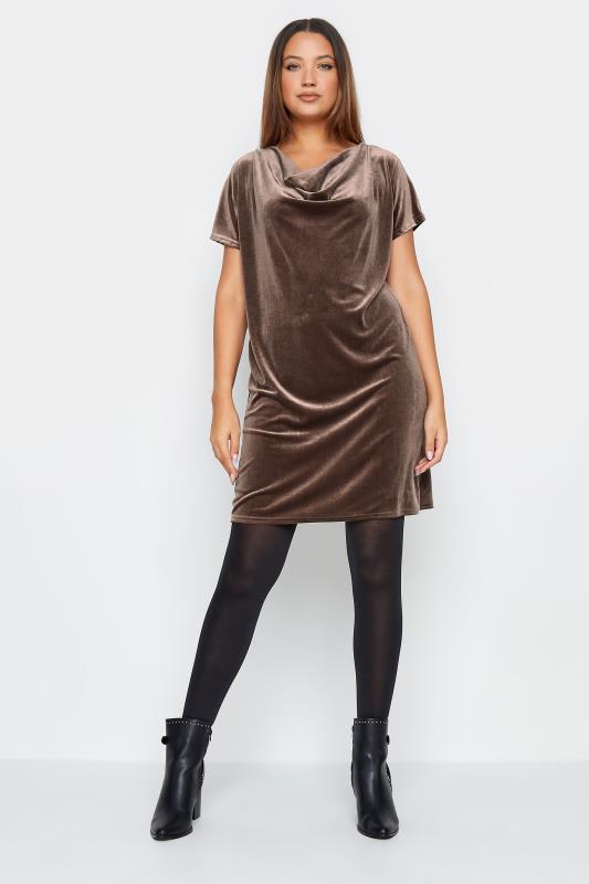 LTS Tall Womens Beige Brown Mink Velour T-Shirt Dress | Long Tall Sally  2