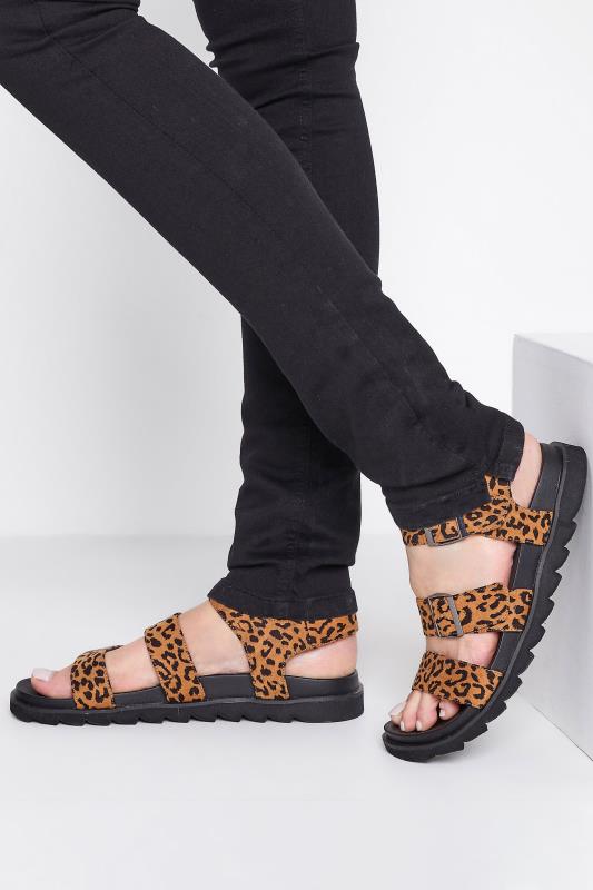 LTS Brown Leopard Print Buckle Strap Sandals In Wide E Fit | Long Tall Sally 1
