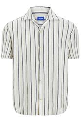 JACK & JONES Big & Tall Green Stripe Print Resort Shirt | BadRhino 2