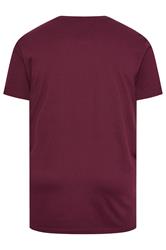 BadRhino Big & Tall Black/Red/Green/Blue/Navy Blue 5 Pack V-Neck T-Shirts | BadRhino 3