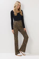 LTS Tall Brown Leopard Print Flared Leggings | Long Tall Sally 1