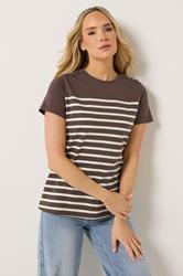 LTS Tall Women's Chocolate Brown Stripe Button T-Shirt | Long Tall Sally  3