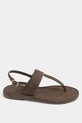 Chocolate Brown Woven Toe Post Sandals In Extra EEE Wide Fit | Yours Clothing 2