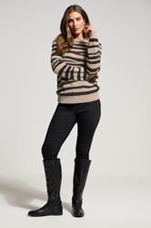 LTS Tall Beige Brown Knitted Zebra Print Jumper | Long Tall Sally 2