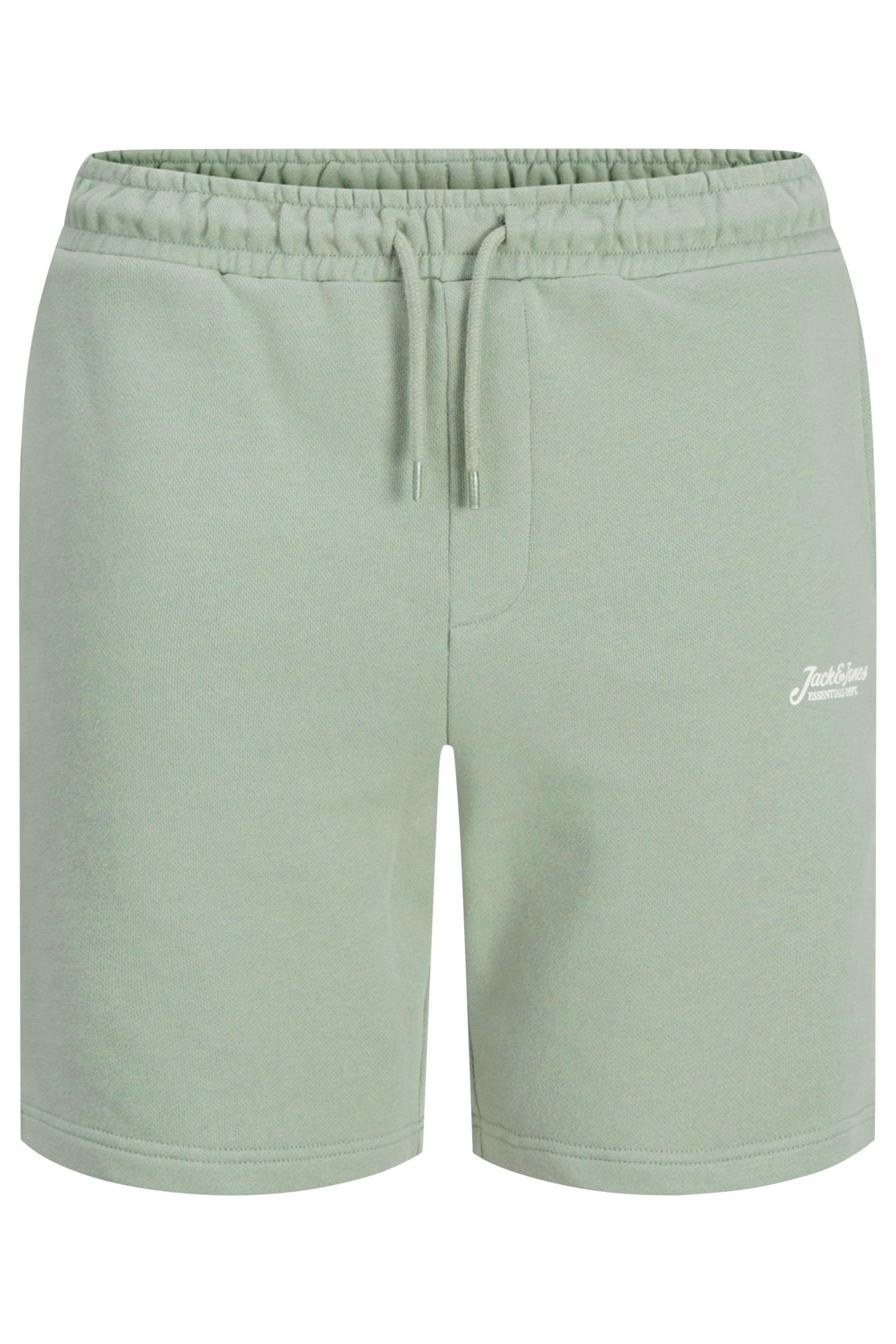 JACK & JONES Big & Tall Iceberg Green 'Beau' T-Shirt & Short Set | BadRhino 5