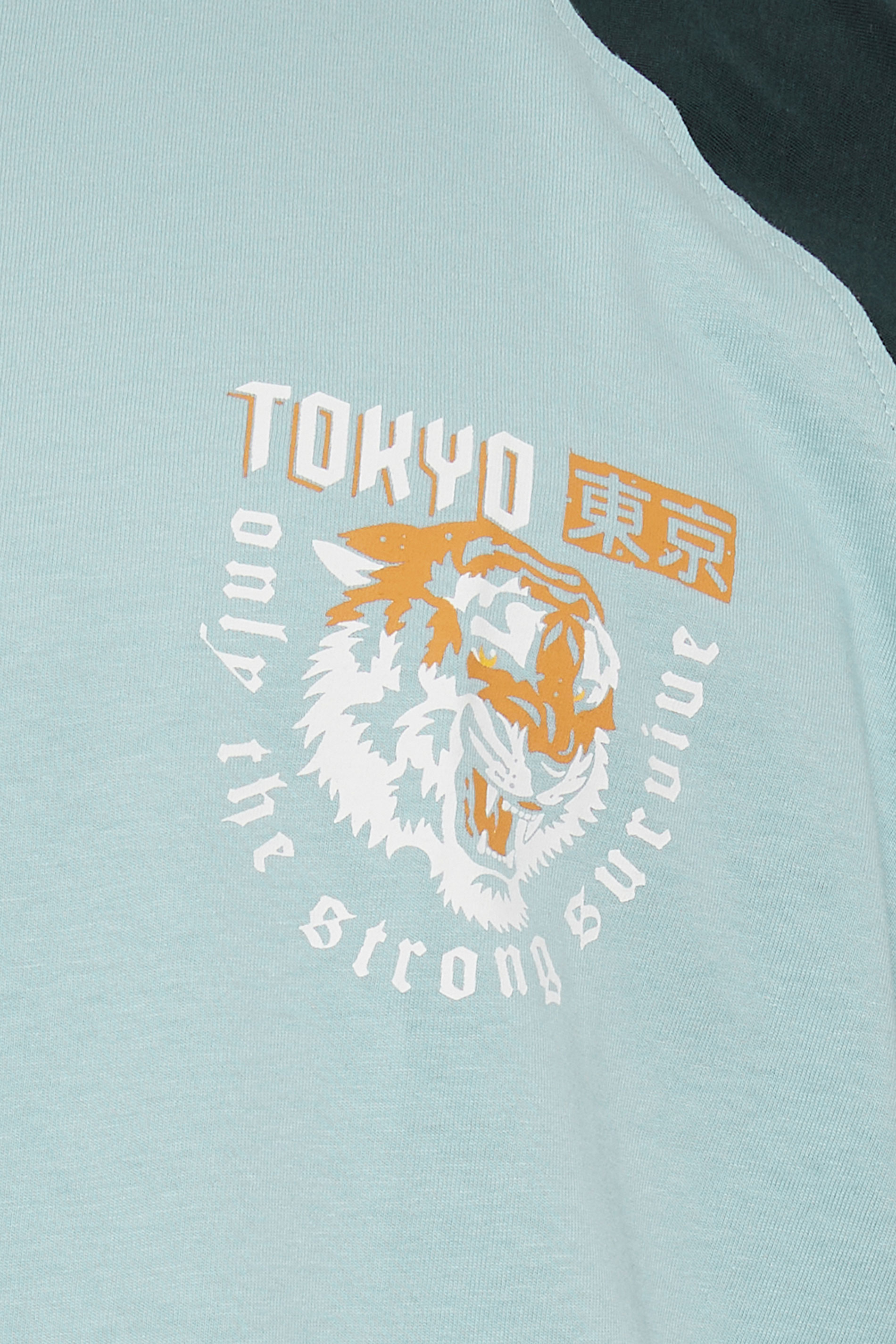KAM Big & Tall Blue Raglan T-Shirt | BadRhino 5