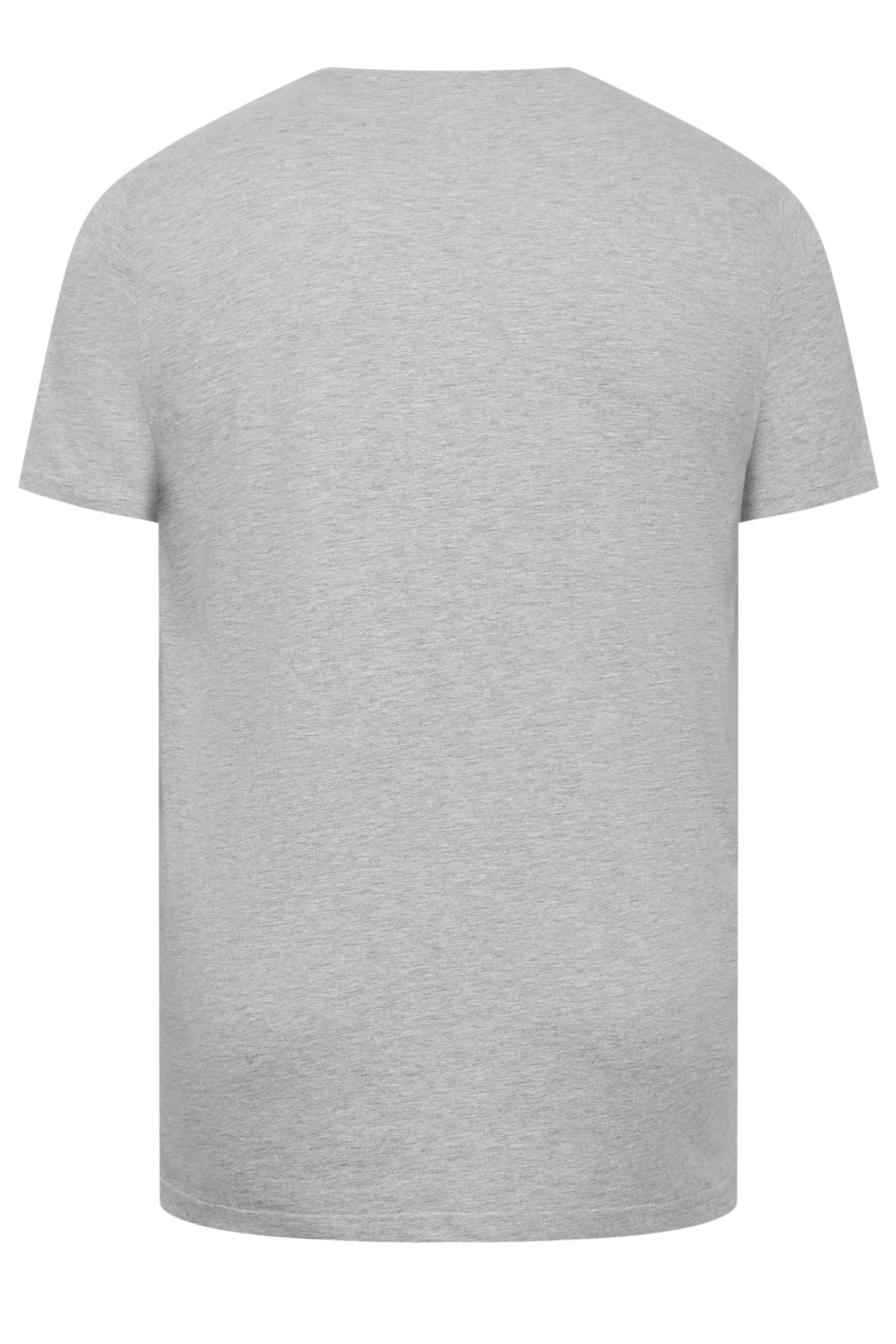 BadRhino Big & Tall Light Grey Extra Long Core T-Shirt | BadRhino 7