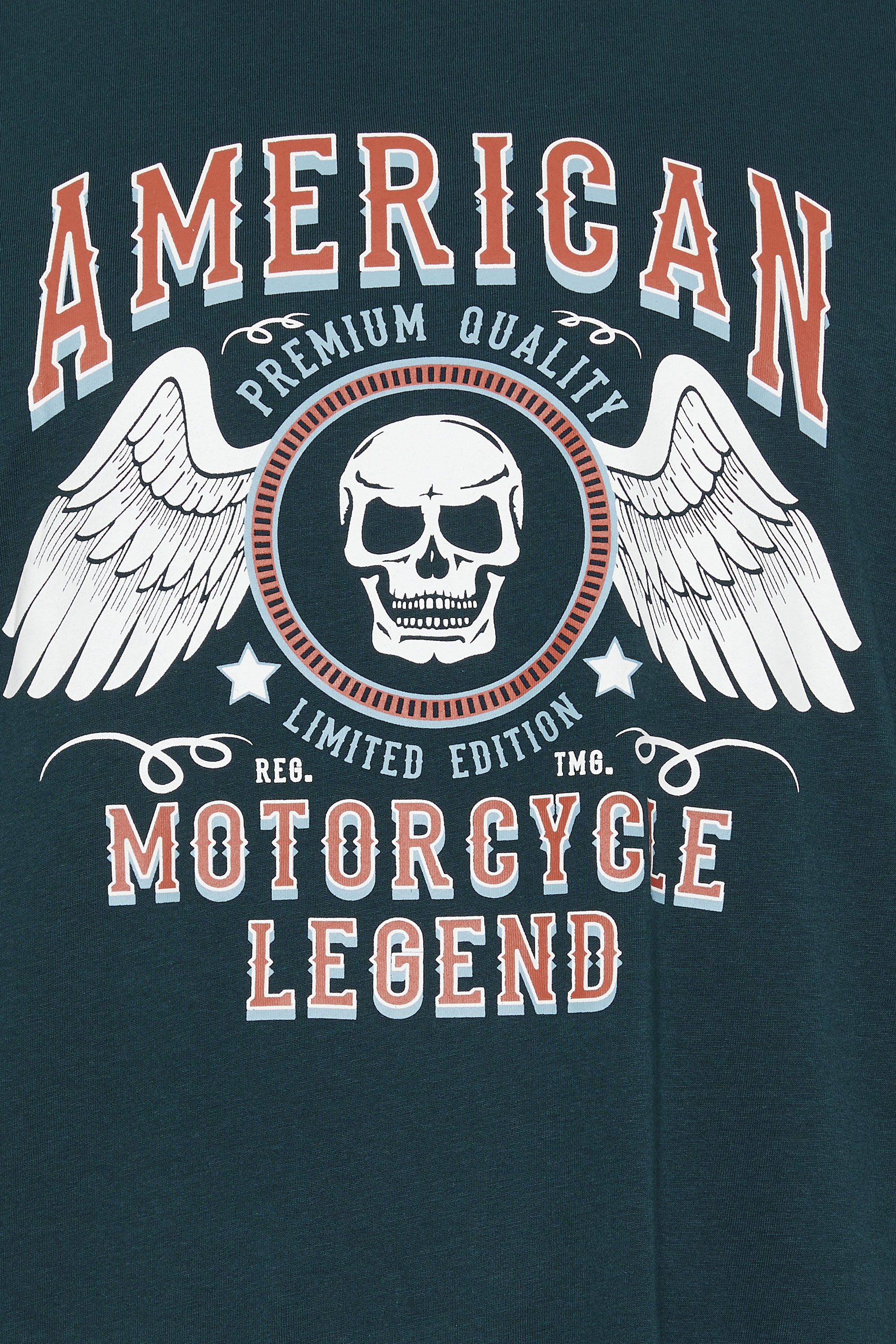 ESPIONAGE Big & Tall Green 'American' Graphic Print T-Shirt | BadRhino 2