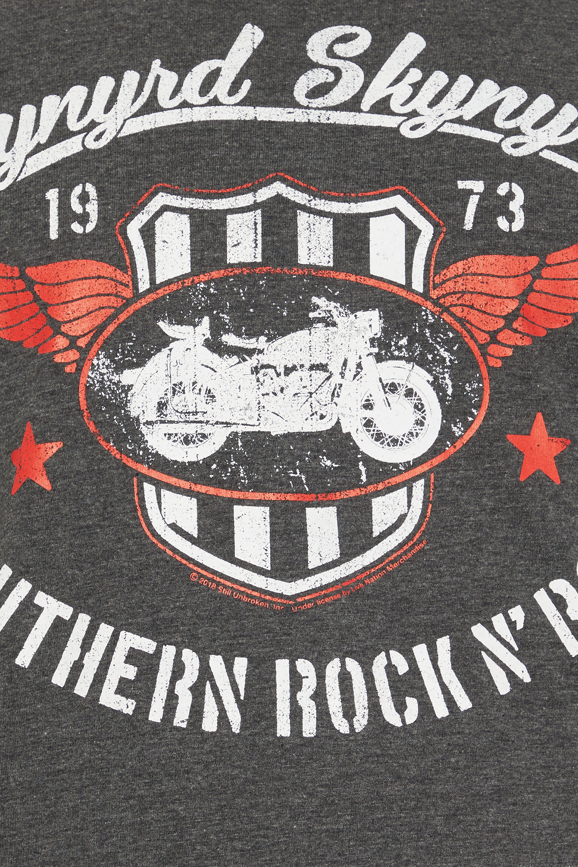 BadRhino Big & Tall Charcoal Grey 'Lynyrd Skynyrd' Graphic T-Shirt | BadRhino 5