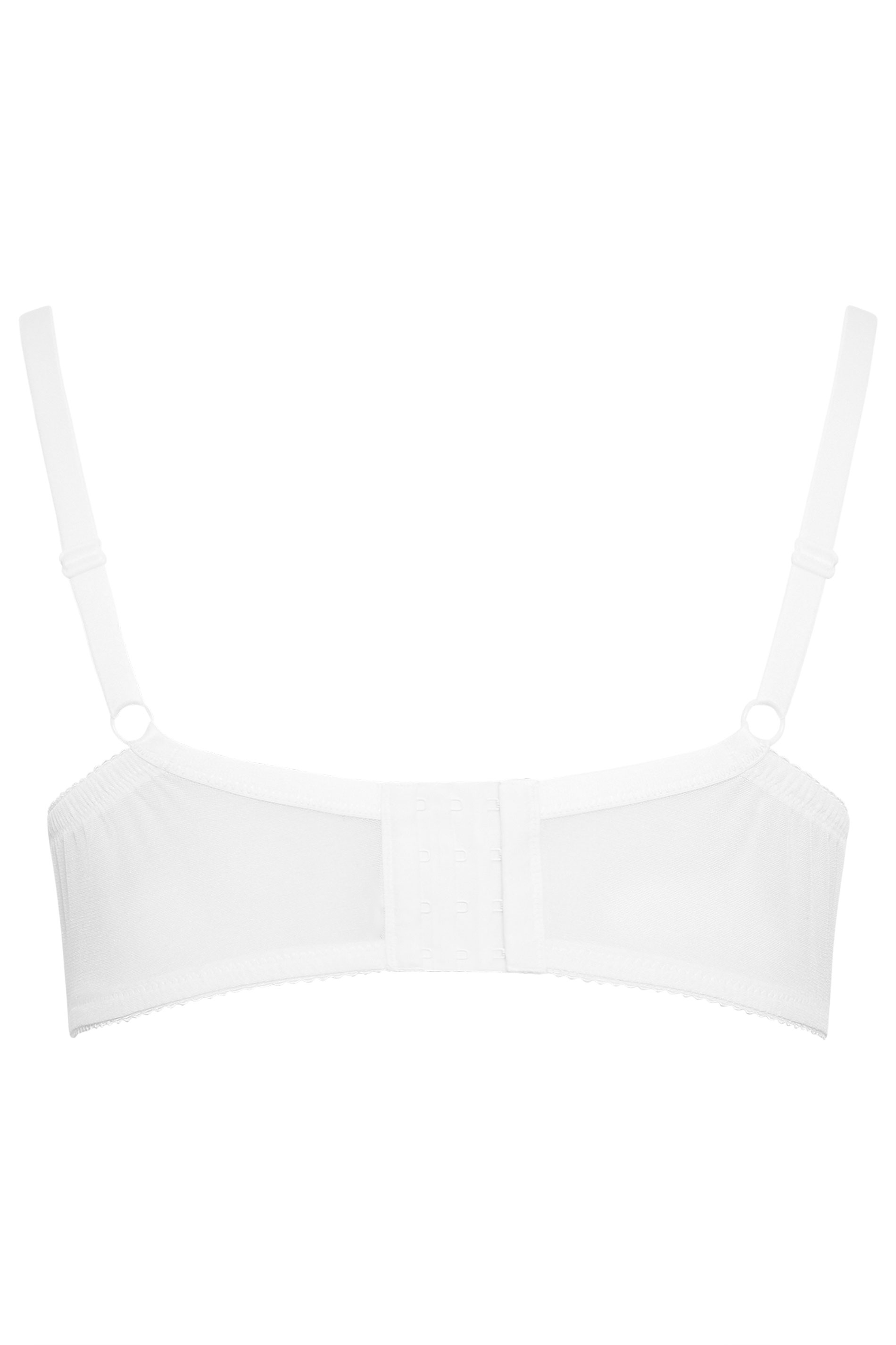 M&Co White T-Shirt Padded Bra | M&Co  6